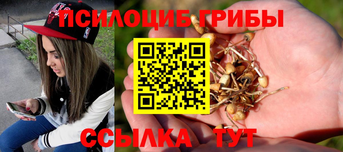 Галлюциногенные грибы мицелий Сызрань